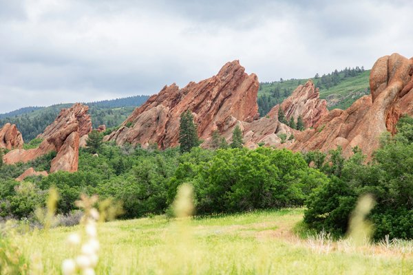 Les étapes clés pour devenir dentiste en France